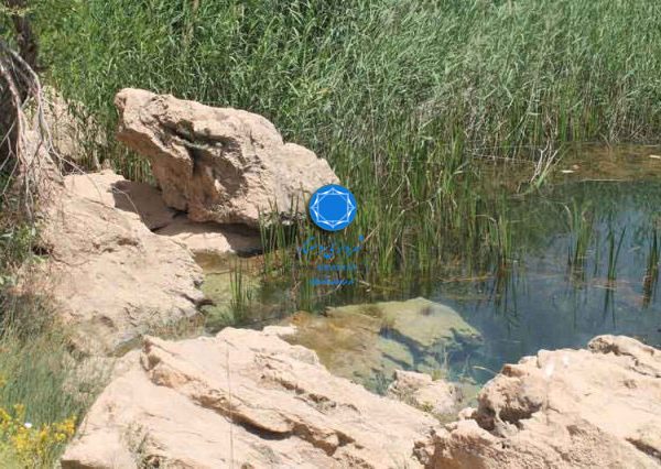 شهرداری دستنا