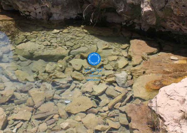 شهرداری دستنا