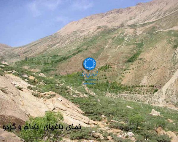 شهرداری دستنا