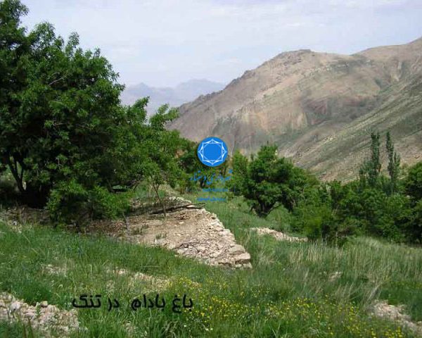 شهرداری دستنا