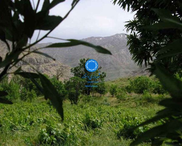 شهرداری دستنا