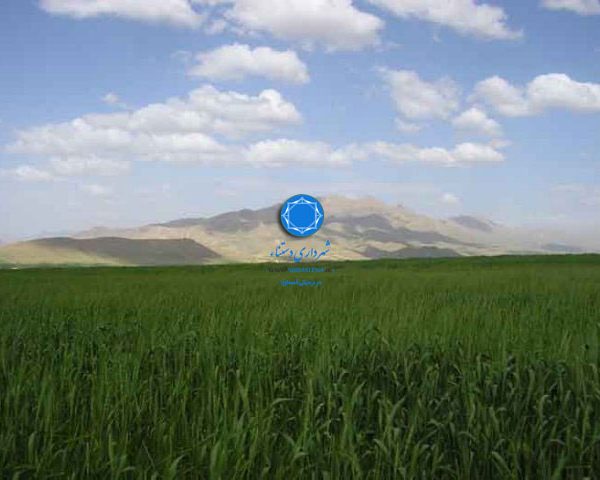 شهرداری دستنا