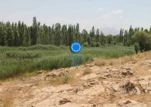 شهرداری دستنا